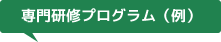 専門研修プログラム（例）